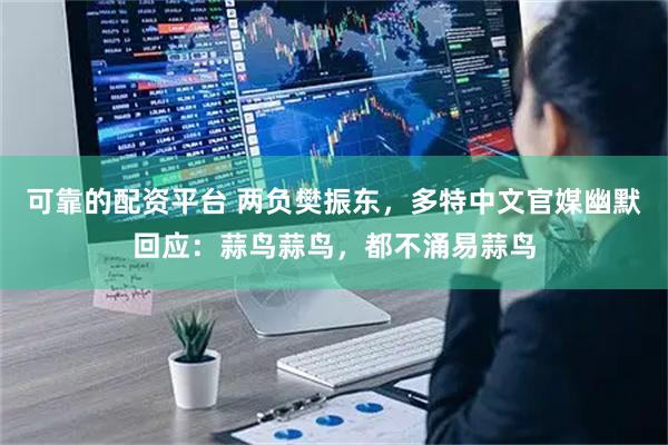 可靠的配资平台 两负樊振东，多特中文官媒幽默回应：蒜鸟蒜鸟，都不涌易蒜鸟