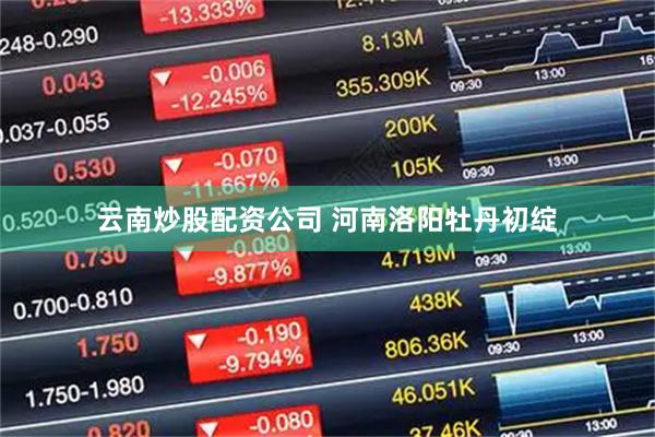 云南炒股配资公司 河南洛阳牡丹初绽
